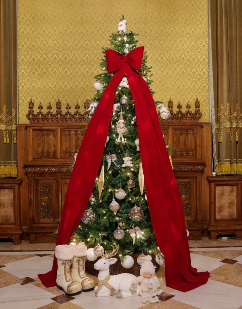 Nicuşor Dan, liderul naţional – transmite un mesaj de Crăciun: