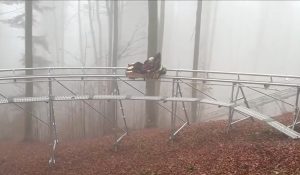 Prețul aventurii cu “sania de vară” în Bucovina, pe un traseu de un kilometru, în fiecare sezon