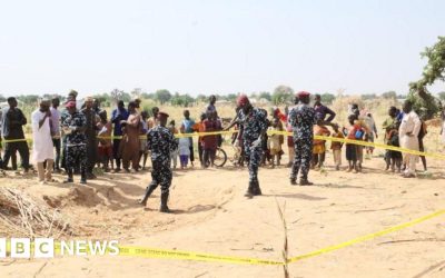 US launches strikes against Islamic State in Nigeria