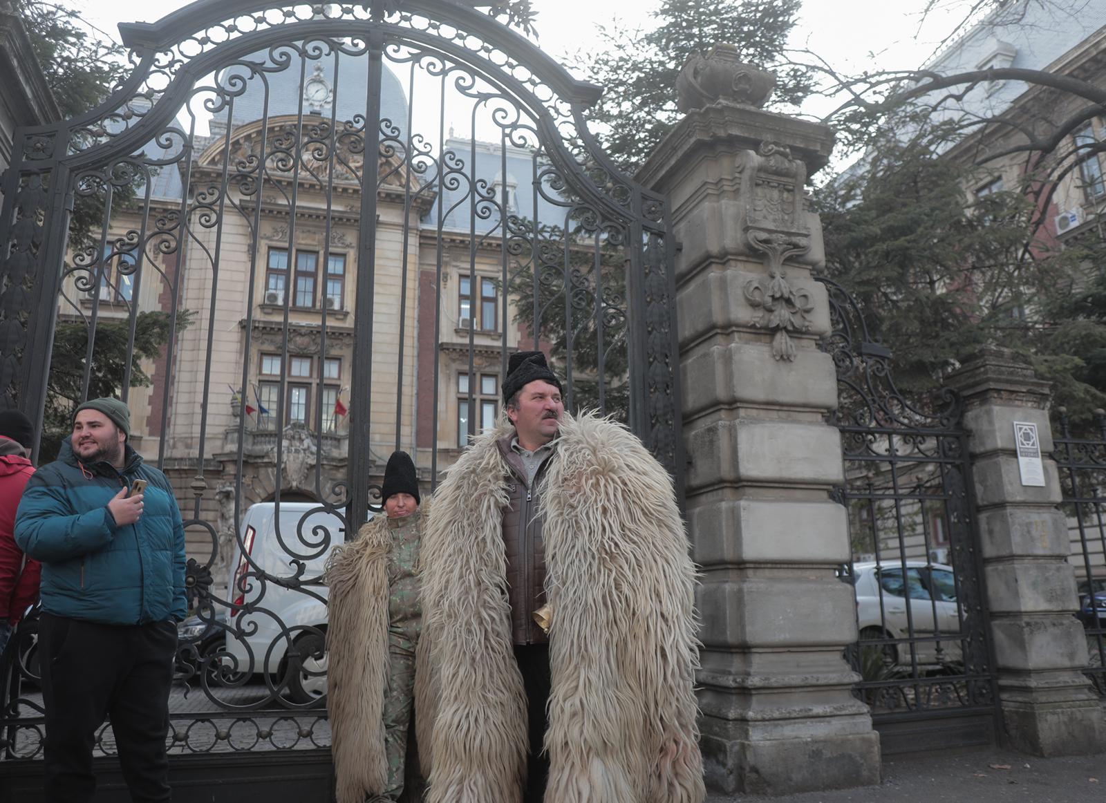 Crescătorii de ovine organizează proteste vineri din cauza întârzierii plății subvențiilor / „Este mai eficient să lucrăm pentru străini, deoarece acolo e mai avantajos”