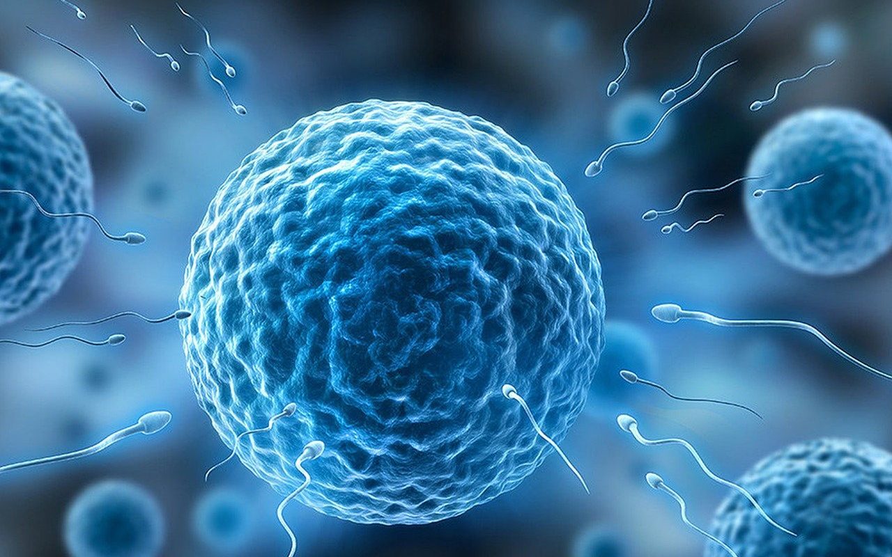 Verificare a informațiilor: Băncile de spermă din Danemarca refuză donatorii în funcție de nivelul IQ-ului?
