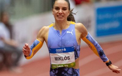 andrea-miklos-3.jpg