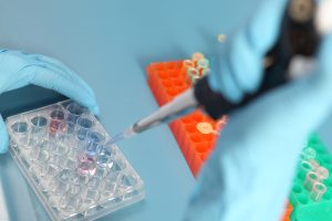 Ministrul Muncii confirmă continuarea programului de fertilizare in vitro în 2026, finanțat din fonduri europeneea noastră”