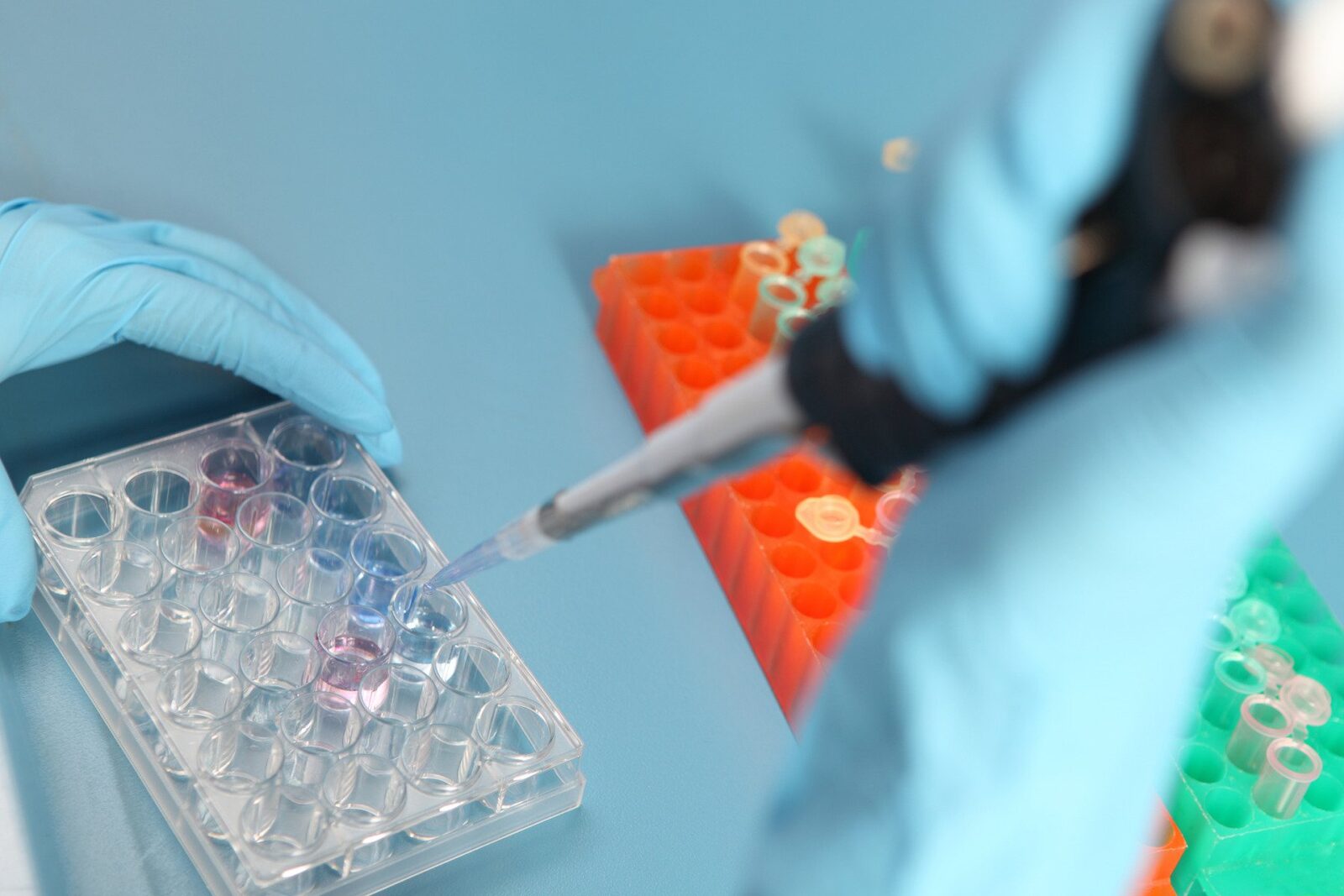 [ad_1] Ministrul Muncii, Florin Manole, a declarat marți la Digi24 că se așteaptă ca bugetul pentru programul de fertilizare in vitro (FIV) să rămână la același nivel și că vor fi alocate și fonduri europene suplimentare, conform informațiilor transmise de Mediafax