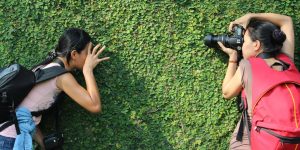 Secretele pentru autofocus rapid pe mirrorless când fotografiezi copii și animale în mișcare