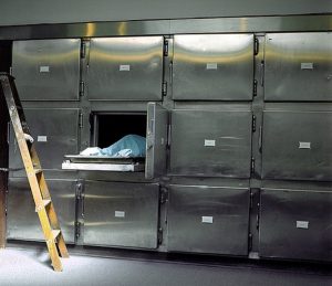 Rezultatele examinării post-mortem a fostului ministru al Justiției, Rodica Stănoiu, după dezgropare: Fără leziuni sau indicii de crimăea noastră”