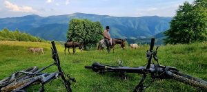 SKV, organizația care a reconstruit stațiunea Păltiniș, intenționează să reia gestionarea refugierilor montane / În perioada de maximă popularitate, asociația avea până la 5.000 de membri / Păltinișul a costat aproximativ echivalentul a aproape 100 kg de aurea noastră”