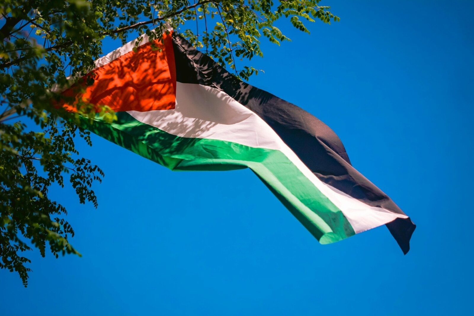 [ad_1] Șase membri ai parlamentului canadian care se aflau în Iordania au fost refuzați de autoritățile israeliene la intrarea în Cisiordania ocupată