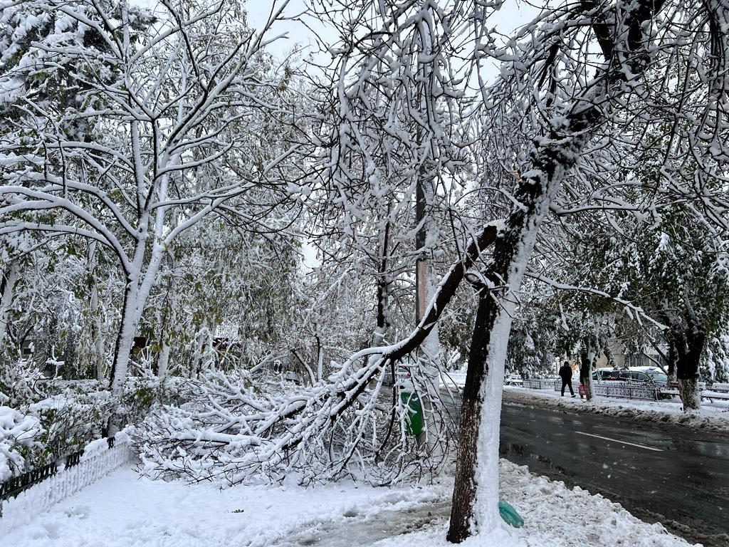 zapada-iarna-nameti-drumuri-inchise-viscol-cod-rosu-vreme-rea-noroi-deszapezire-copaci-cazuti.jpeg