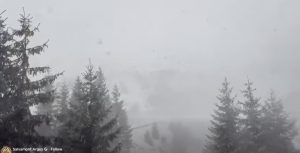 Patru cetățeni moldoveni blocați în Refugiul Călțun în drumul spre vârful Negoiu; salvamontul nu poate interveni din cauza vremii nefavorabile până luni dimineața