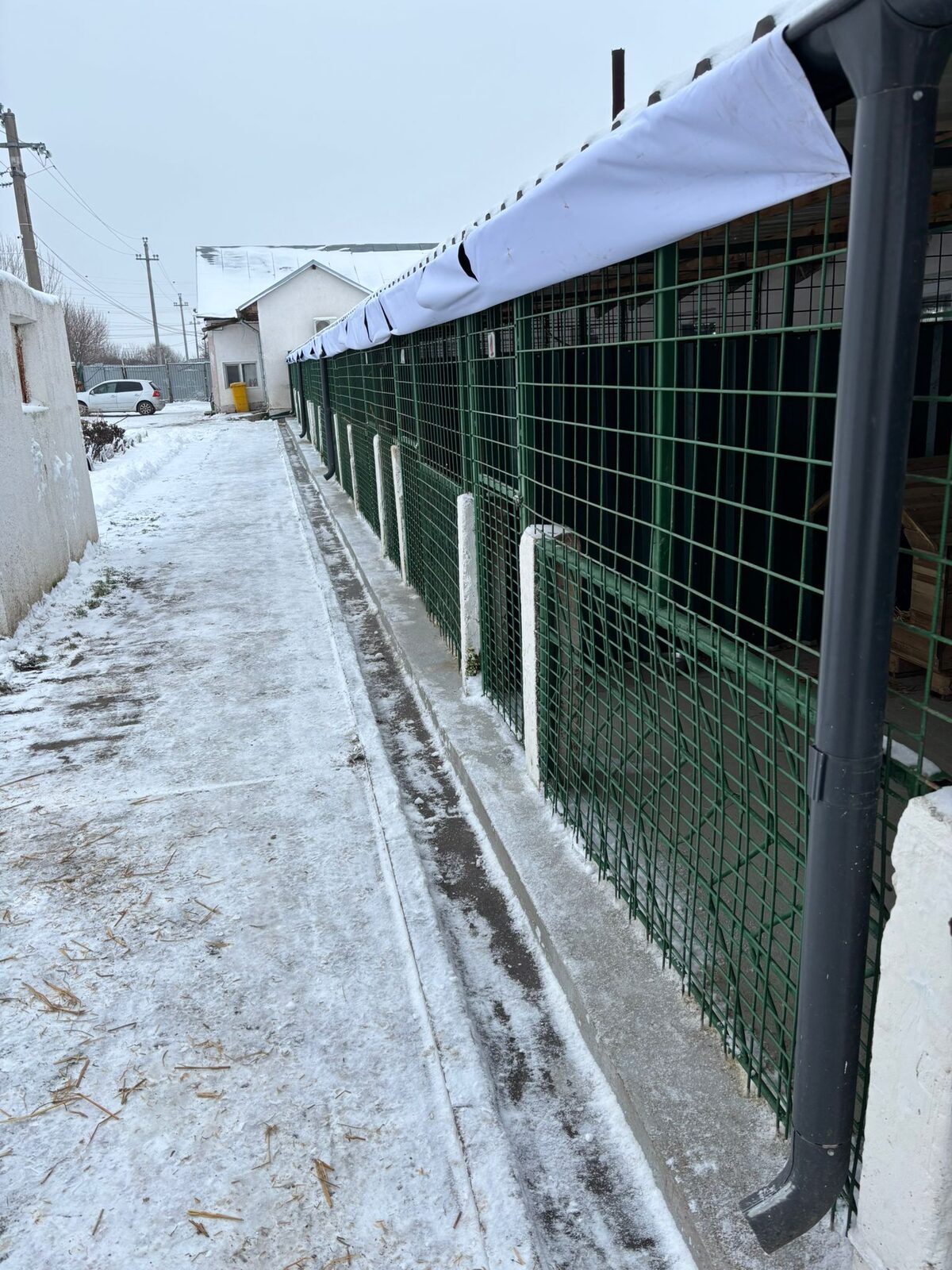 Autoritatea pentru Supravegherea și Protecția Animalelor se confruntă cu greutăți în gestionarea animalelor în timpul temperaturilor extrem de scăzute În contextul temperaturilor geroase care au cuprins recent țara, autoritatea responsabilă cu supravegherea și protecția animalelor, ASPA, se află în plină luptă pentru a asigura siguranța și confortul animalelor din adăposturi