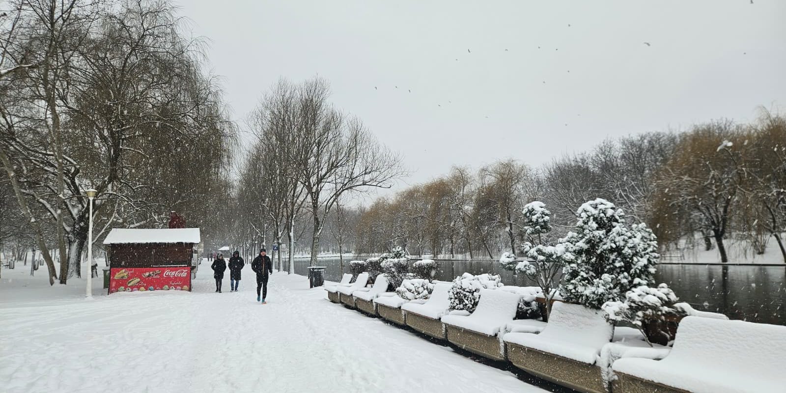 Ninsori în București. La cât ajunge stratul de zăpadă și cum arată prognoza meteo pentru luni