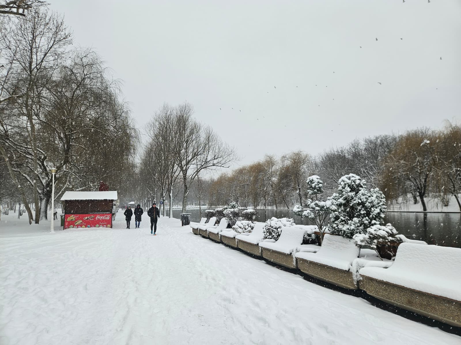 Ger și ninsori în București: Strat de aproape 10 centimetri pe străzi Bucureștiul se confruntă în această perioadă cu vreme deosebit de rece, fiind sub avertizare meteorologică din partea ANM, ce vizează ninsori, precipitații mixte și polei