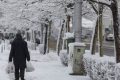Prognoză specială pentru București. Meteorologii anunță ger și strat de zăpadă de 15 centimetri