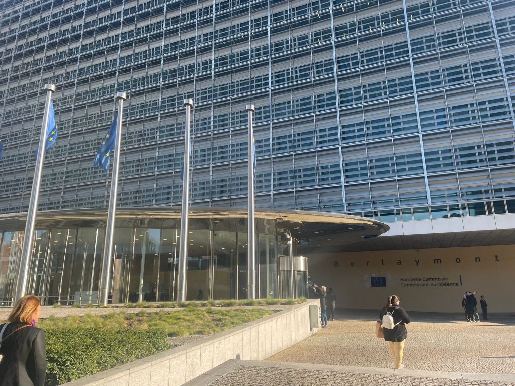 Comisia Europeană intervine pentru conformitatea Google