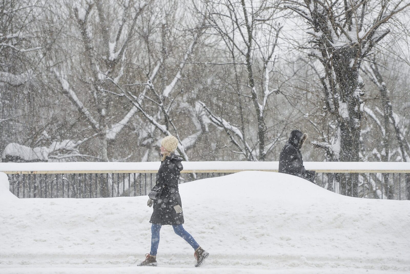 Februarie aduce vânturi înghețate: Vortexul Polar în colaps!