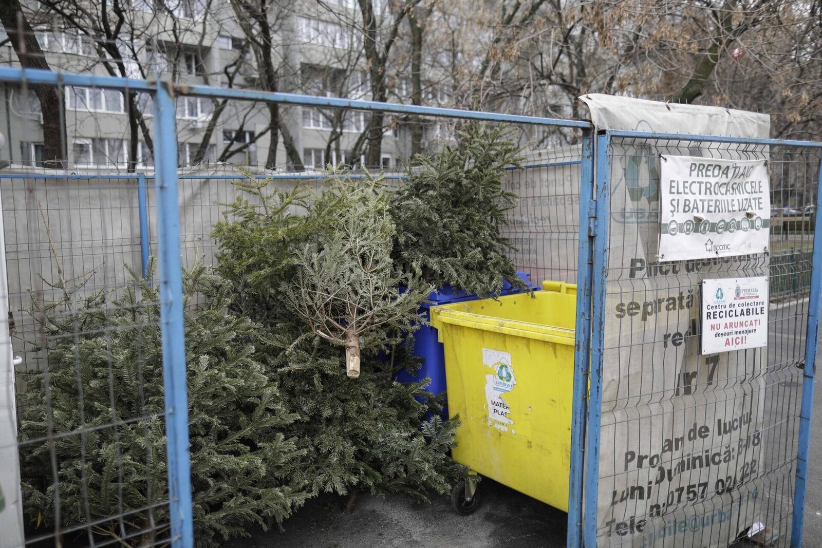 Colectarea brazilor de la ghenele blocurilor, realizată de operatorul de salubriznazre în Sector 4