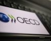 OECD-OCDE-Sursa-foto-Dreamstime.jpg