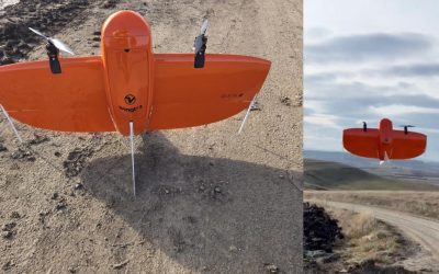 drona cumparata primaria chinteni