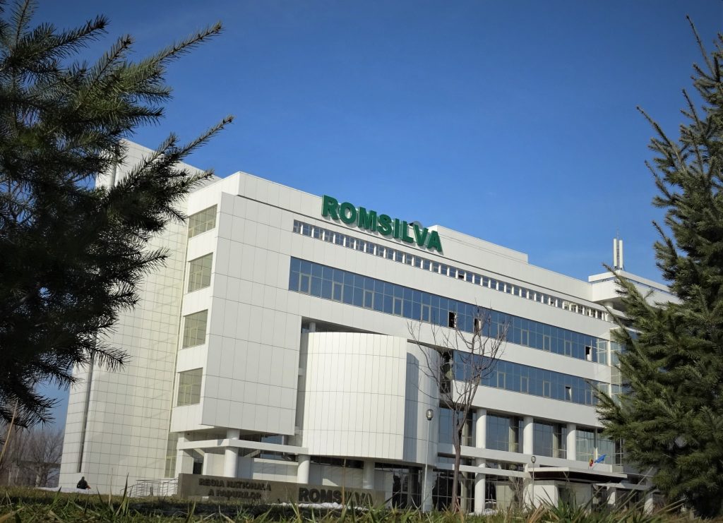 Romsilva caută director general: Consiliul de Administrație a pornit selecția