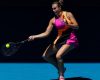 Sabalenka battles past 'incredible' Potapova to advance at Aussie Open