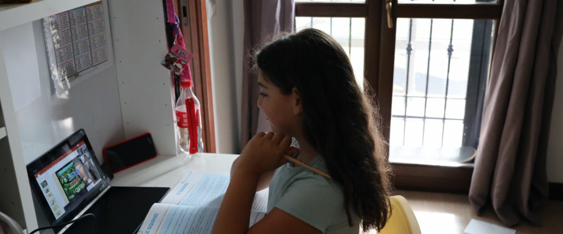 Școlile trec în online din cauza vremii. Cursuri suspendate în mai multe județe, anunță Ministerul Educației