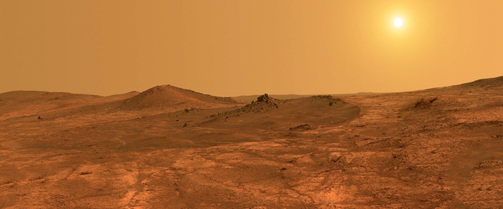 NASA, anunț fără precedent în explorarea spațială, a făcut o dezvăluire în stilul cel mai radical de până acum: analiza unui eșantion de rocă colectat de pe Marte indică posibile semnături ale vieții microbiene antice, cele mai solide dovezi descoperite până în prezent despre existența vieții pe planeta roșie