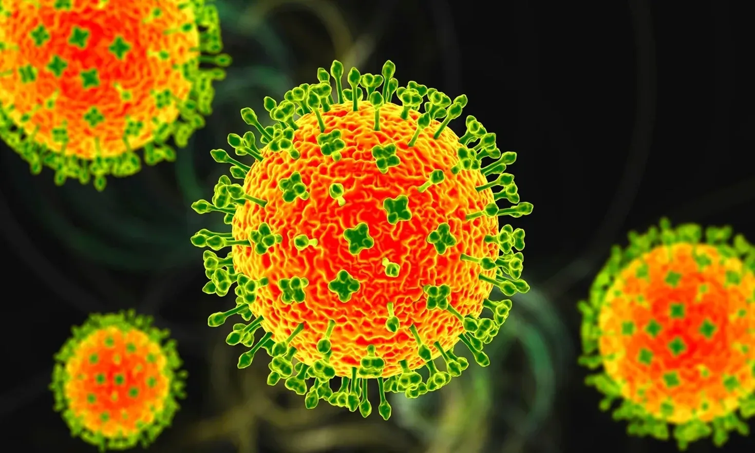 Alarmă sanitară în India: Virusul Nipah face victime India a înregistrat recente cazuri de infectare cu virusul Nipah, o boală infecțioasă cu o rată a mortalității alarmantă, cuprinsă între 40% și 75%