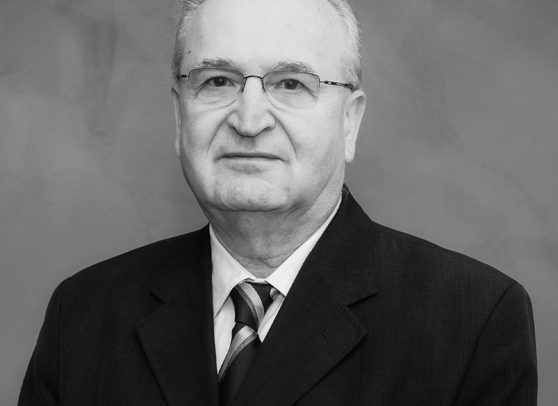 Viitorul proiect național: Aderarea României la Zona Euro, propune Vasile