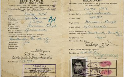 certificat-fulop.jpg