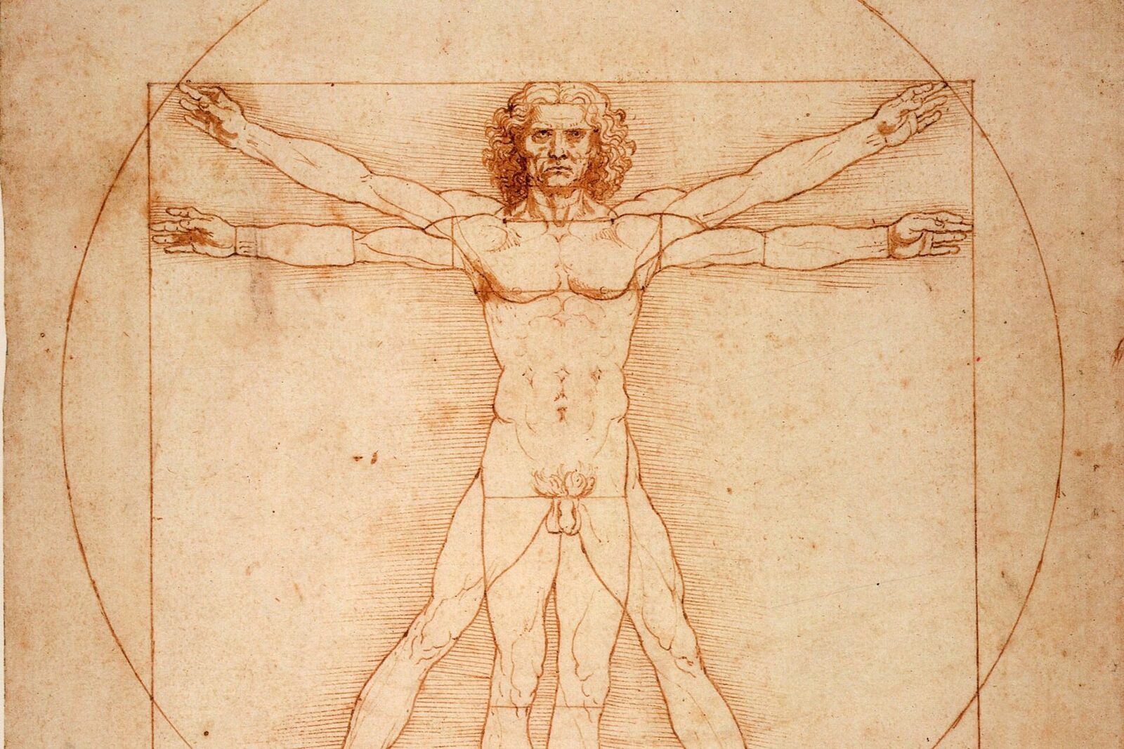 Descoperire revoluționară în arheologia și genetica artei: ADN-ul lui Leonardo da Vinci? O idee aparent irealizabilă, aceea de a extrage ADN dintr-un desen de 500 de ani, începe să devină realitate