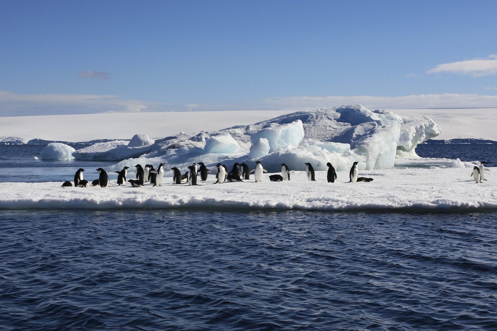 O hartă inovatoare a adâncurilor Antarcticii dezvăluie peisajul subglaciar ascuns, schimbând complet înțelegerea noastră asupra proceselor implicate în topirea ghețarilor și impactul asupra nivelului global al mării