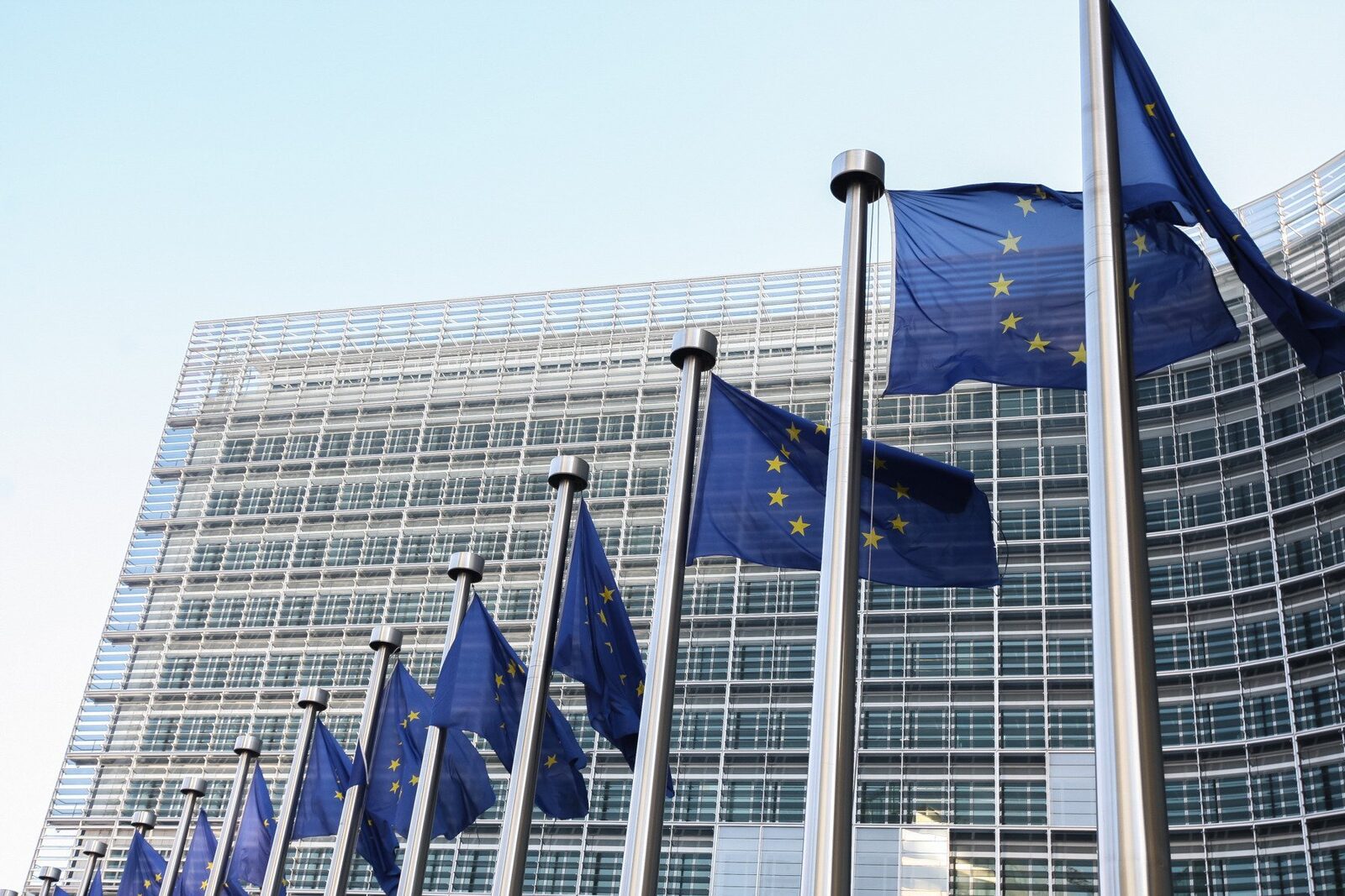 Parlamentul European a aprobat trimiterea acordului UE-Mercosur la Curtea de Justiție