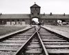 instagram-zdjecia-auschwitz-birkenau-1180×541-1-1000×485.jpg