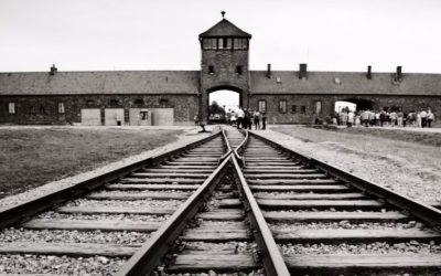 instagram-zdjecia-auschwitz-birkenau-1180×541-1-1000×485.jpg