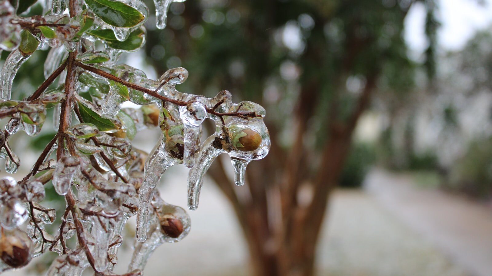 Vremea în București: Cod galben de ger, temperaturi scăzute