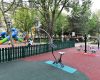parcul-pacii-renovat-5.jpg