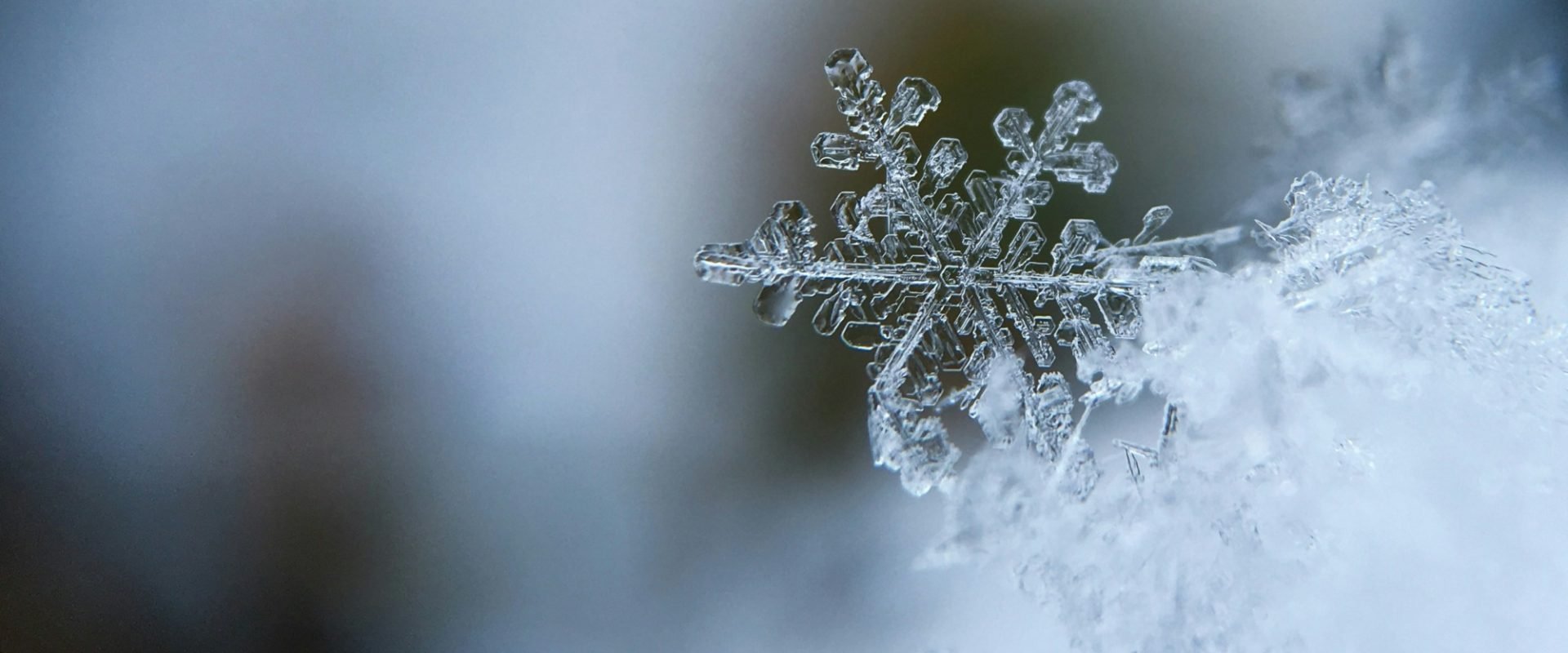 Vremea geroasă se instalează în Capitală în această săptămână, aducând temperaturi extrem de scăzute care vor pune la încercare atât locuitorii, cât și autoritățile