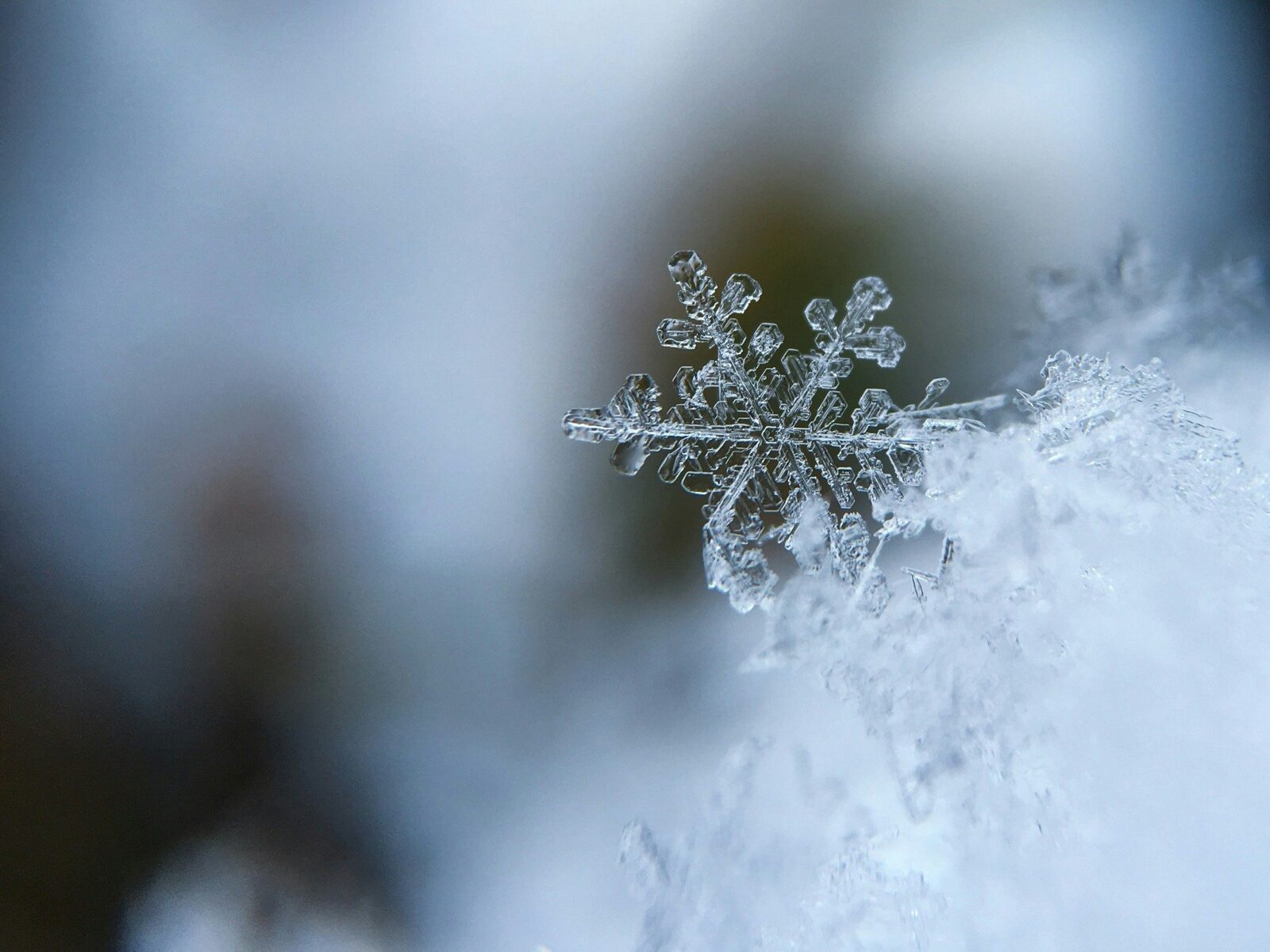 Vremea geroasă se instalează în Capitală în această săptămână, aducând temperaturi extrem de scăzute care vor pune la încercare atât locuitorii, cât și autoritățile
