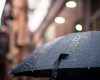 rain-umbrella-weather-17739.jpg
