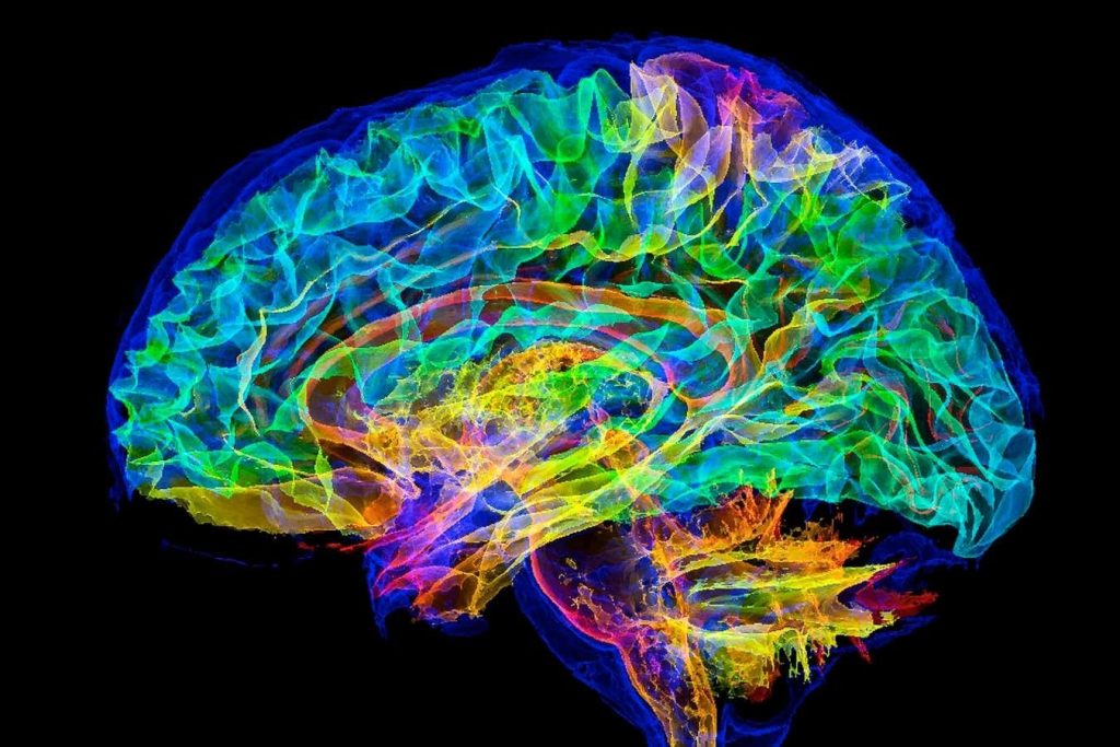 simulare-creier-uman-supercomputer.jpg