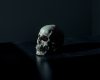 skull-1867707_1920.jpg