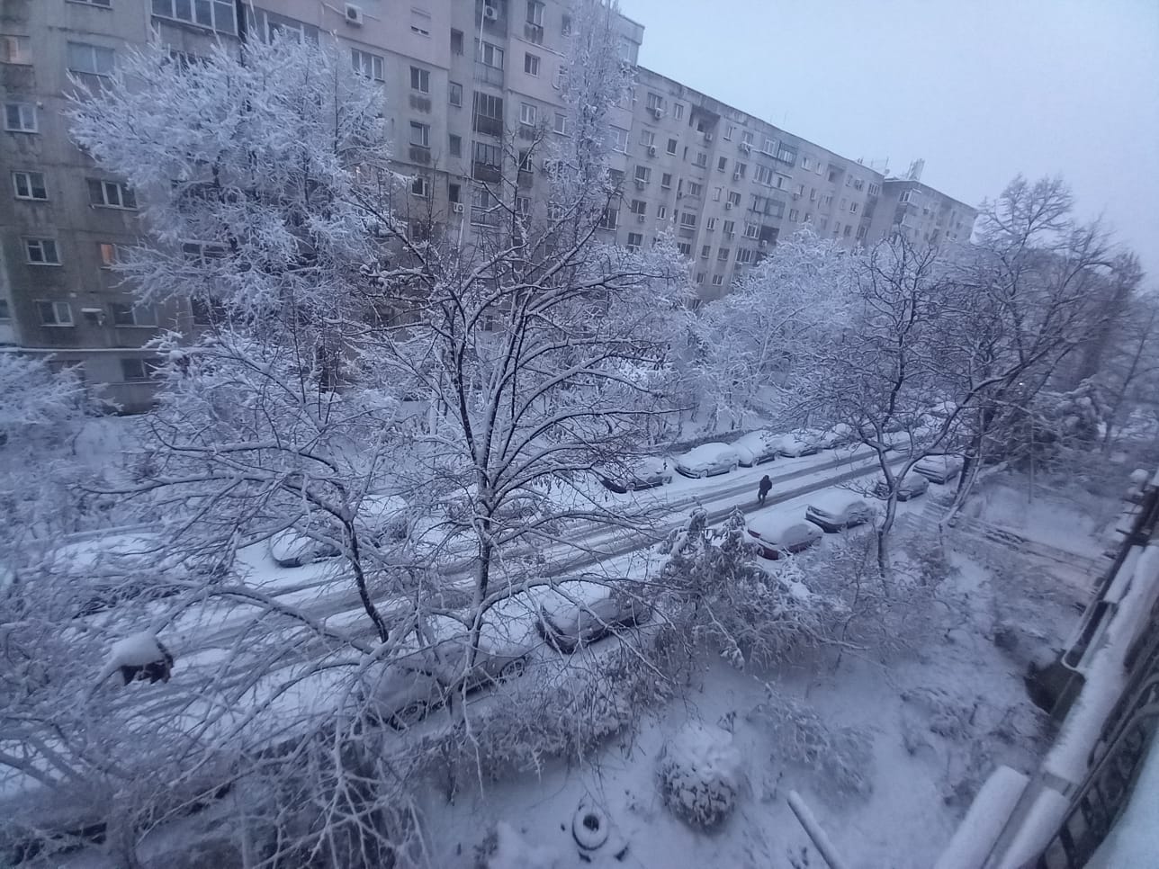 Bucureștiul se confruntă, din nou, cu un val de ger extrem, în timp ce ninsorile dau orașului un aspect de poveste albă, dar totodată creează dificultăți serioase în trafic și pentru locuitori