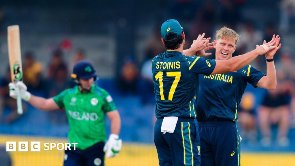 Nathan Ellis celebrates with Stoinis
