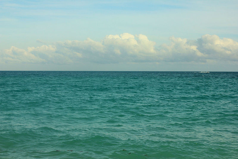 Gfp-florida-miami-ocean-and-horizon.jpg
