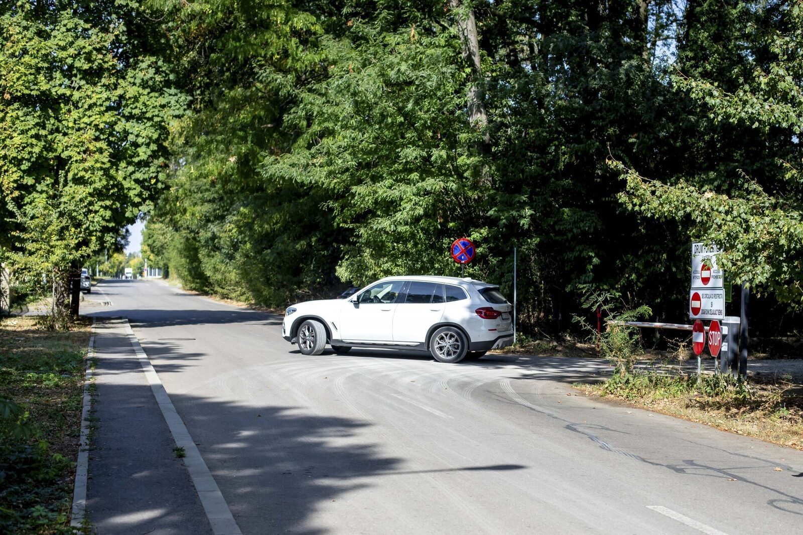 Ministerul Mediului a publicat recent concluziile unui raport al Corpului de Control, care scoate la lumină o serie de nereguli grave în procesul de autorizare și realizare a unui drum auto prin Pădurea Băneasa, parte din pădurea urbană din nordul Capitalei