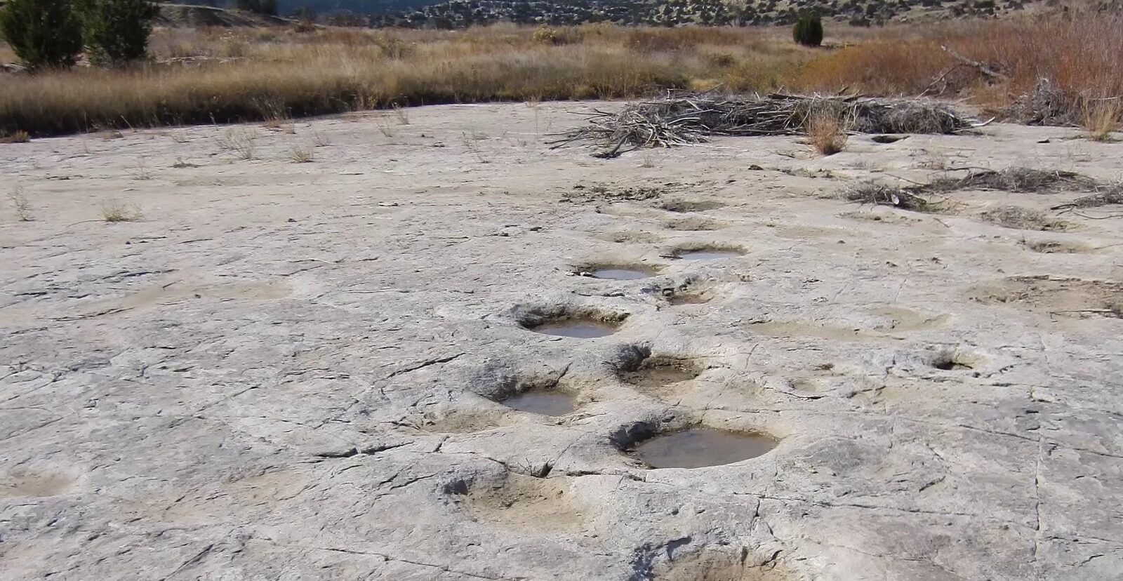 Urmele de pași, cele mai frecvente fosile descoperite în rândul dinozaurilor, continuă să ofere indicii valoroase despre viețile acestor vertebrate preistorice