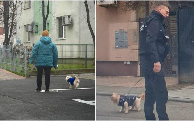 amenzi-bucuresteni-care-nu-strang-dupa-cainii-lor.jpg