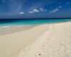 aruba-eagle-beach-sand.jpg