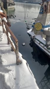 O posibilă poluare cu produse petrolier, detectată astăzi în zona Plajei Vechi din municipiul Giurgiu, a reconfirma gravitatea riscurilor de mediu cu care se confruntă orașul situat pe malurile Dunării